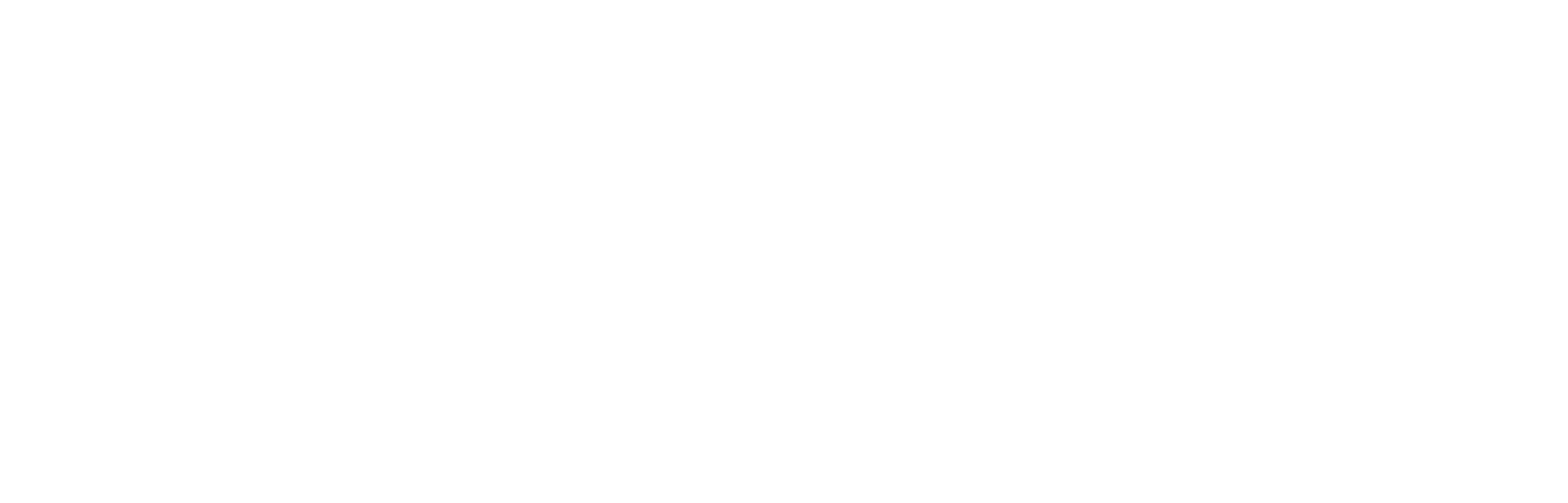 CeyPay Full Logo in White